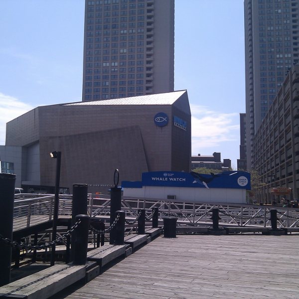 New England Aquarium, Boston