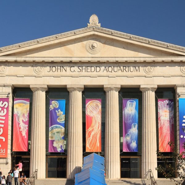 Shedd Aquarium, Chicago