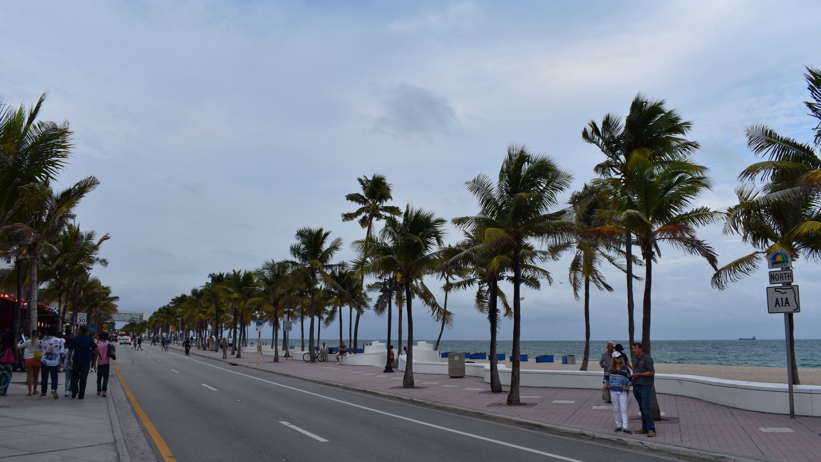 Palm lined beachfront promenade and roadway along Fort Lauderdale Beach
