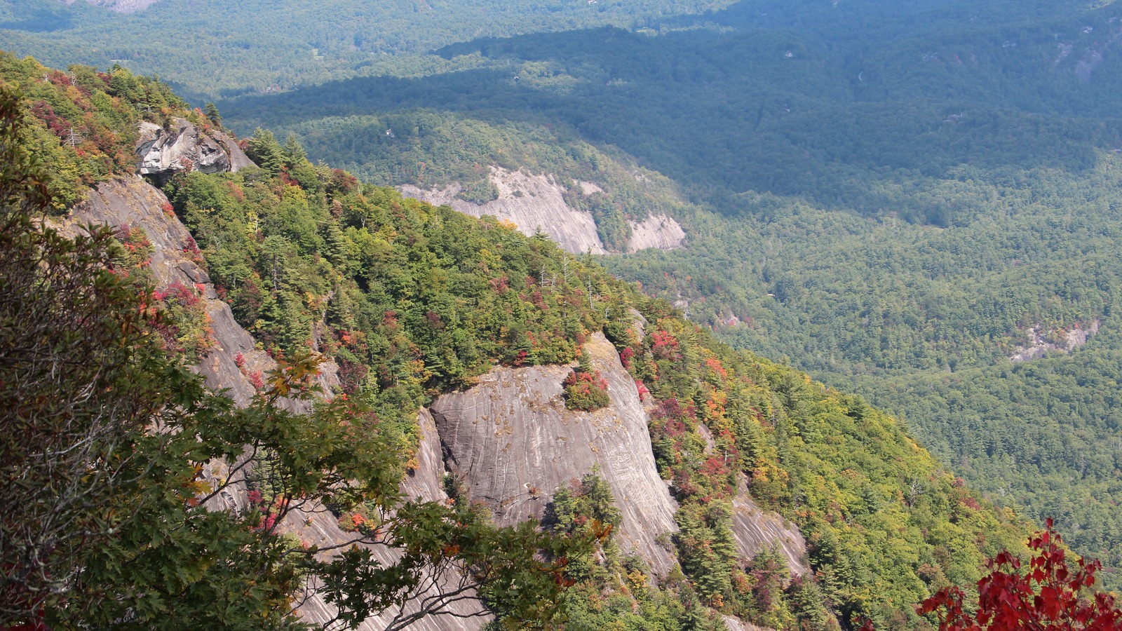 The sheer cliff face of Whiteside Mountain rising above a forested valley near Highlands, North Carolina