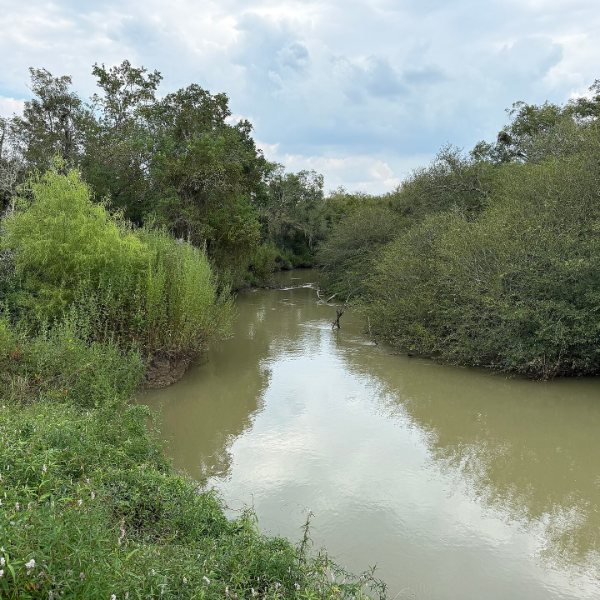 Buffalo Bayou Park, Houston