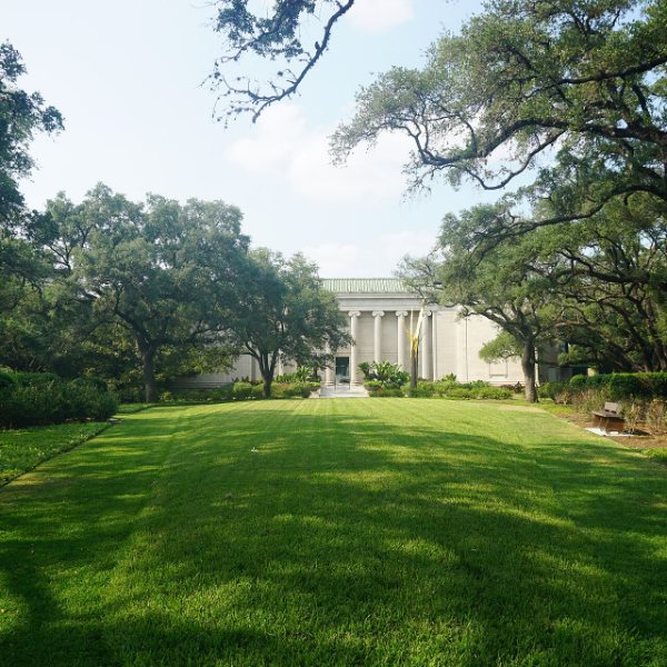 Museum of Fine Arts, Houston, Houston