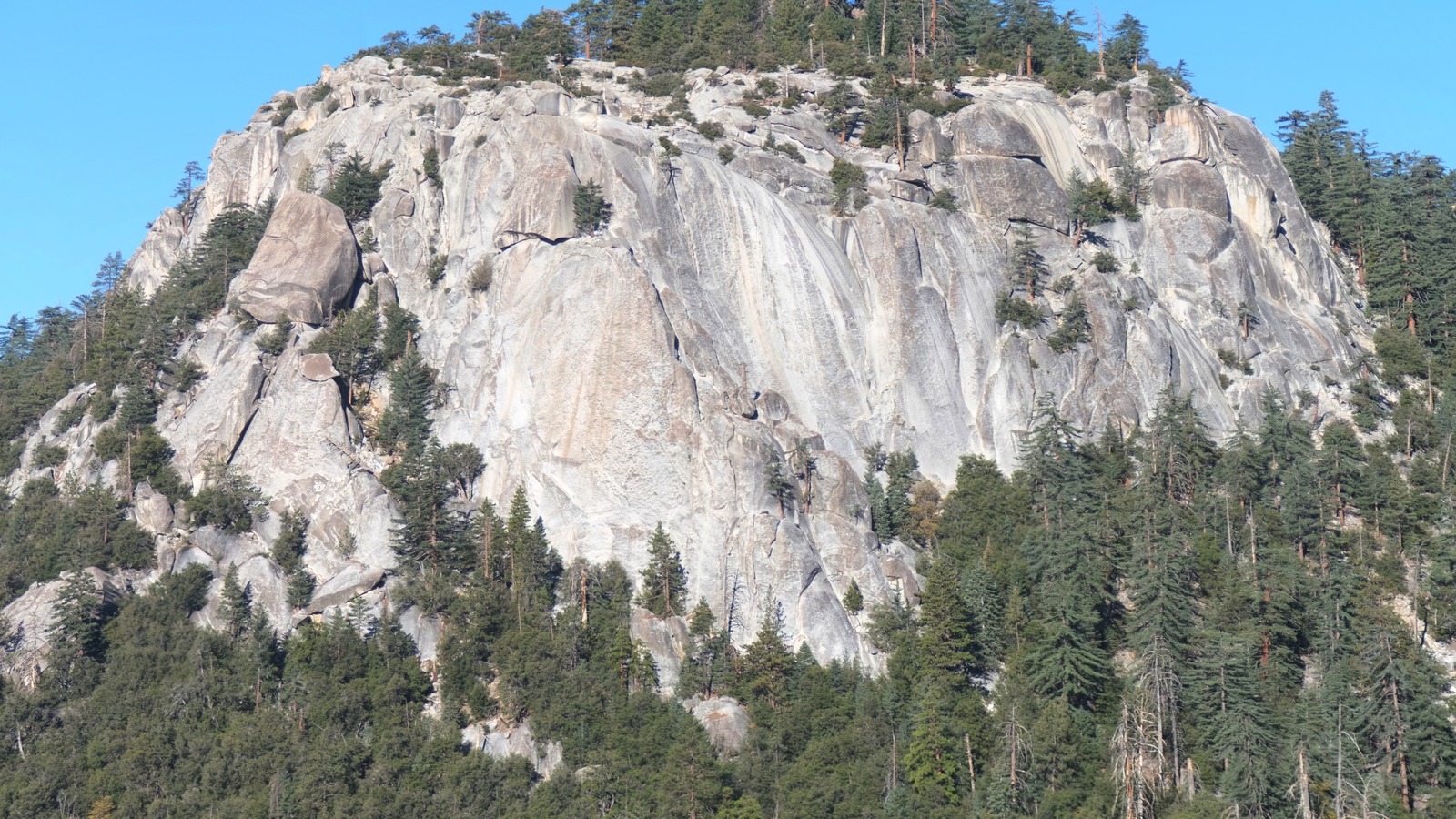The bare granite dome of Suicide Rock rising above conifer forest in the San Jacinto Mountains above Idyllwild, California