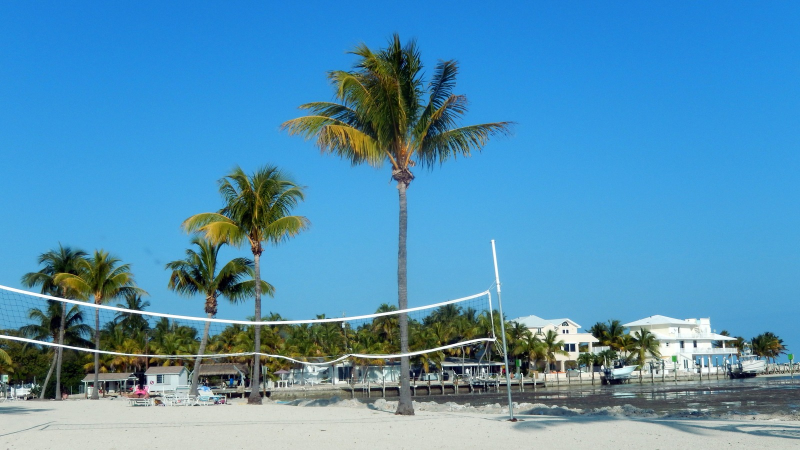 A palm tree beside the boardwalk and shallow turquoise water at Anne's Beach in Islamorada