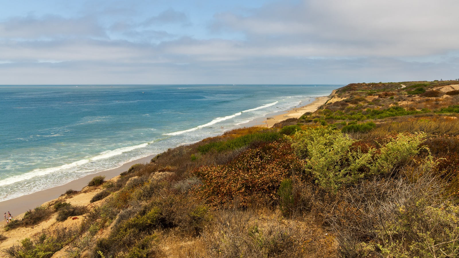 A flowering coastal bluff dropping to a long sandy beach and turquoise water at Crystal Cove State Park on the Newport Coast, California