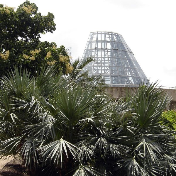 San Antonio Botanical Garden, San Antonio