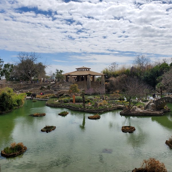 Stone paths, ponds and a pavilion in the San Antonio Japanese Tea Garden