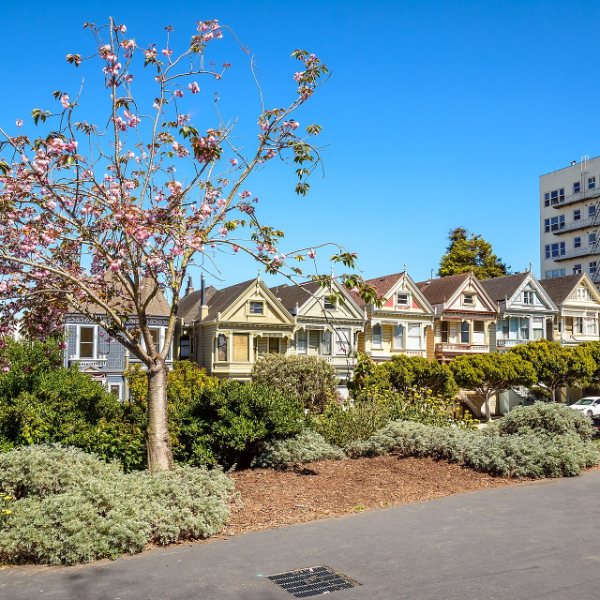 The Painted Ladies at Alamo Square, San Francisco