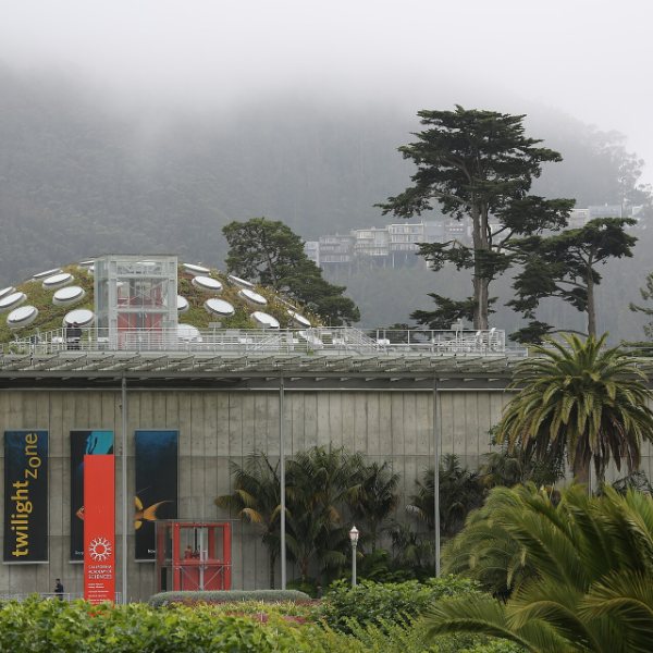 California Academy of Sciences, San Francisco