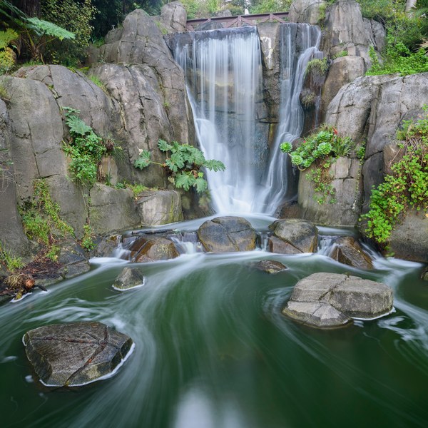 Huntington Falls flowing through greenery in Golden Gate Park in San Francisco