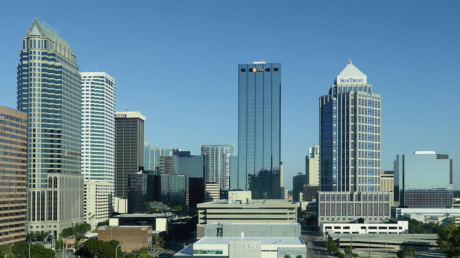 15 Must-Do Experiences in Tampa, Ranked
