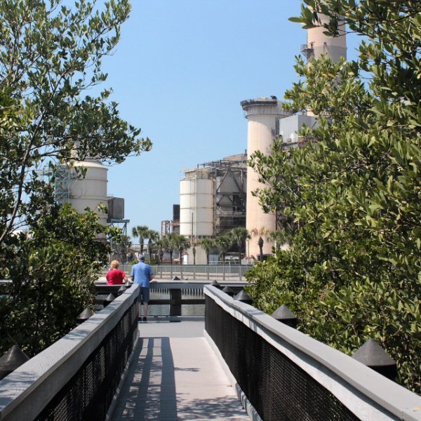 TECO Manatee Viewing Center, Tampa