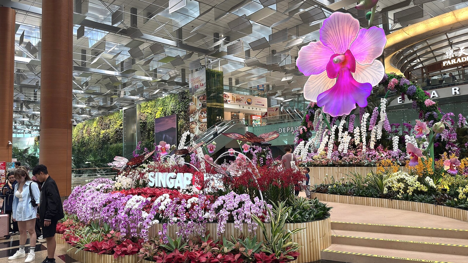 Orchid display in the public departures area of Singapore Changi Airport Terminal 3