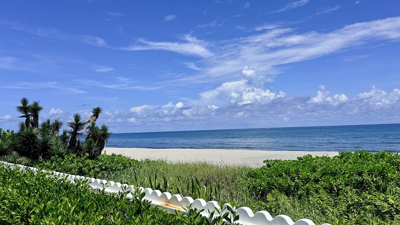 Atlantic beach and coastal vegetation in the Town of Palm Beach, Florida