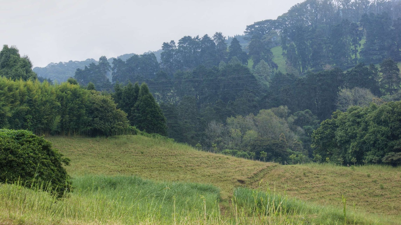 Mountain pasture and forested hills in Heredia, Costa Rica, the province where Montara Hotel opened