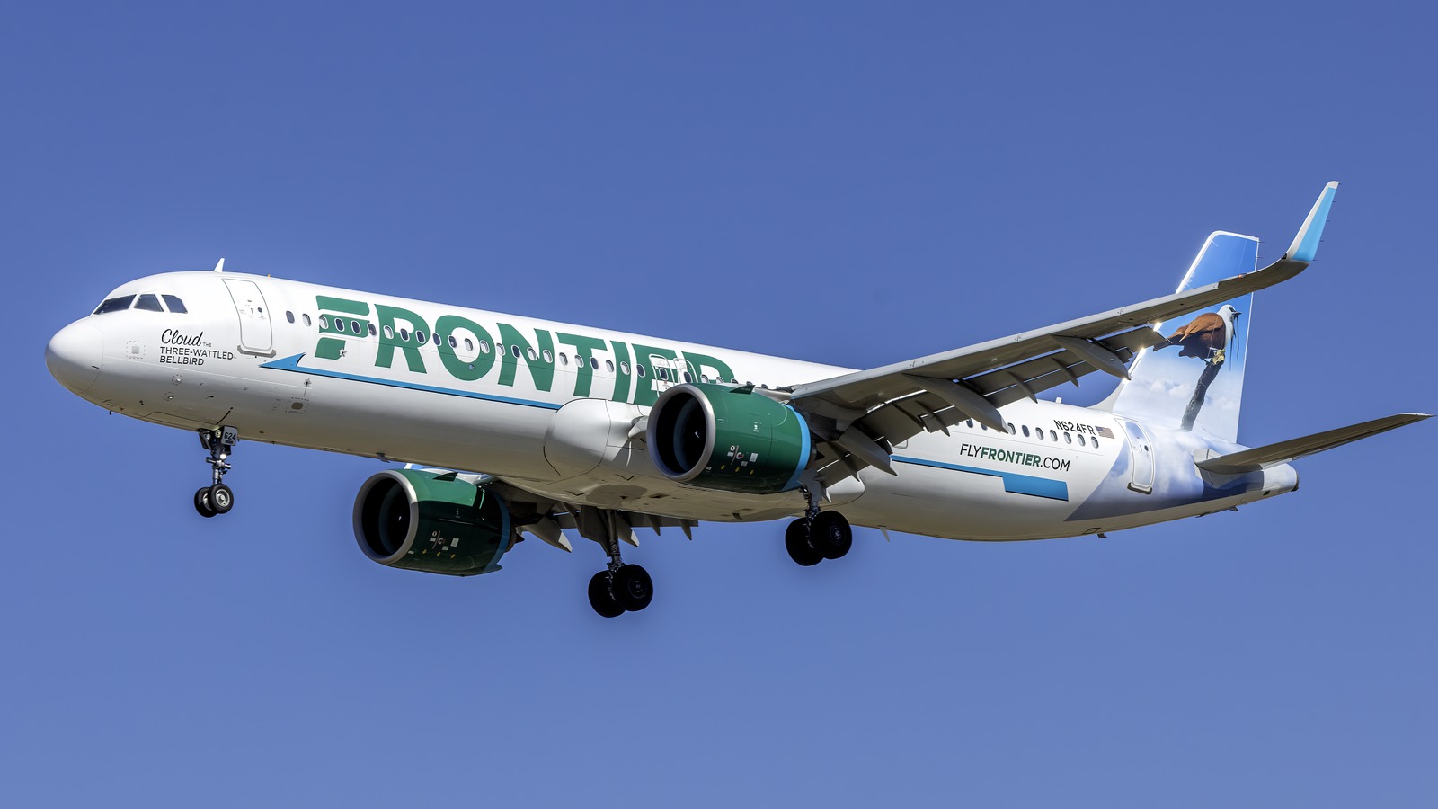 Frontier Airlines Airbus A321neo in flight in current green and white livery