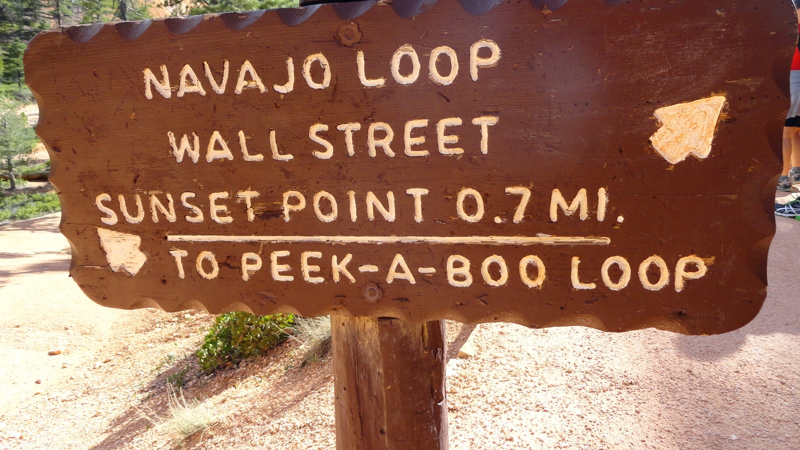 Wooden trail sign at Bryce Canyon National Park pointing to Navajo Loop, Wall Street, Sunset Point, and Peekaboo Loop