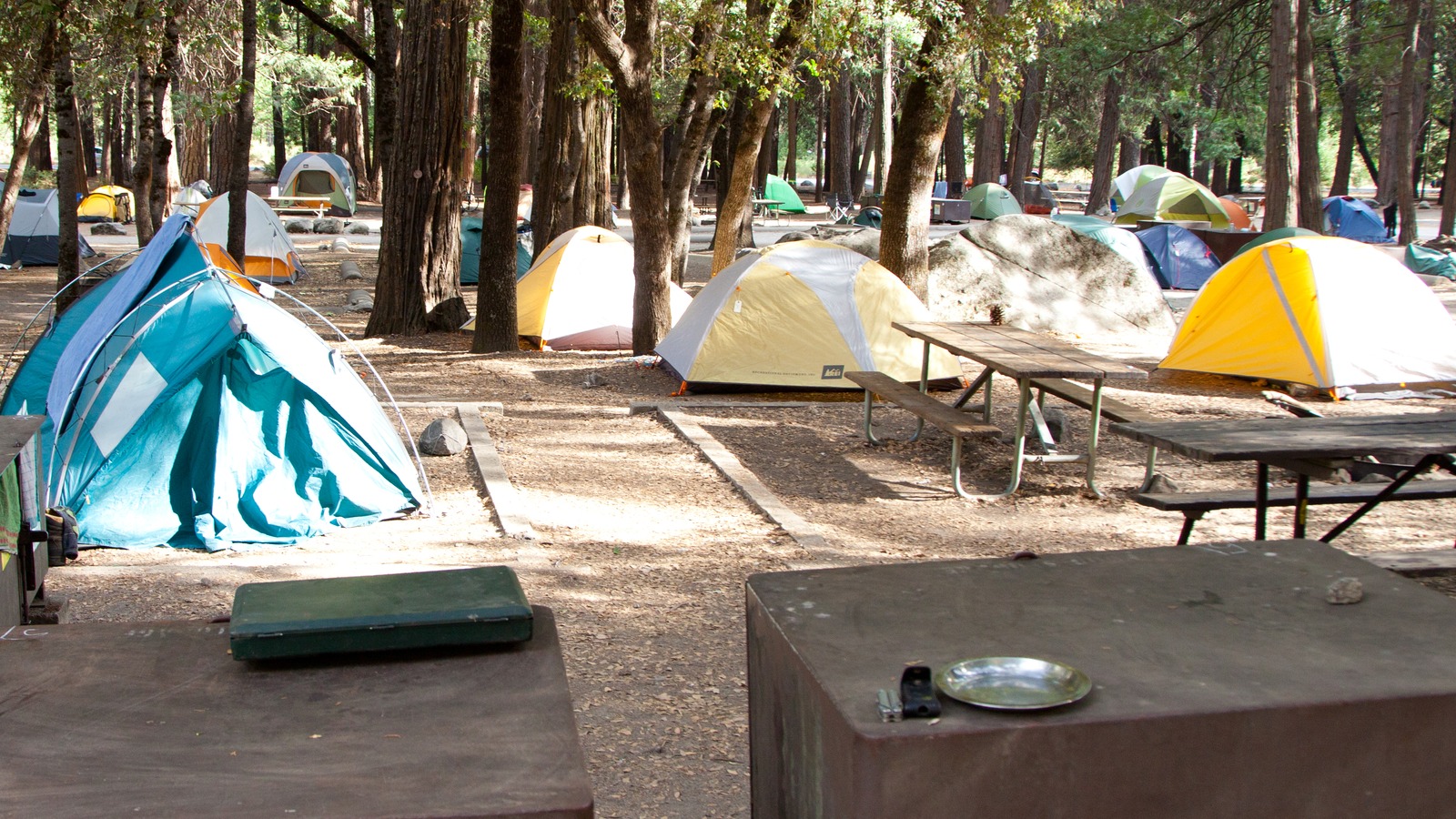 Tents and bear-proof food lockers at a Yosemite Valley campground under pine and oak trees