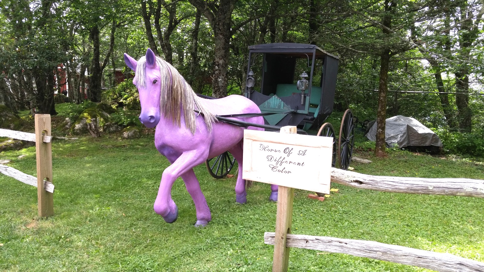 Purple Horse of a Different Color statue with carriage and sign at the Land of Oz park on Beech Mountain