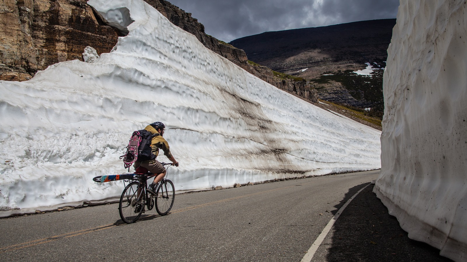 Tall plowed snow walls line the alpine section of Going-to-the-Sun Road in Glacier National Park as a cyclist rides the cleared pavement
