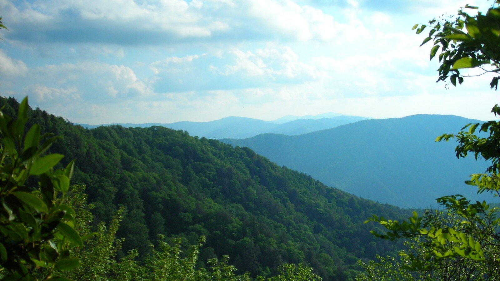 Green mountain ridges seen from a Bullhead Trail overlook in Great Smoky Mountains National Park