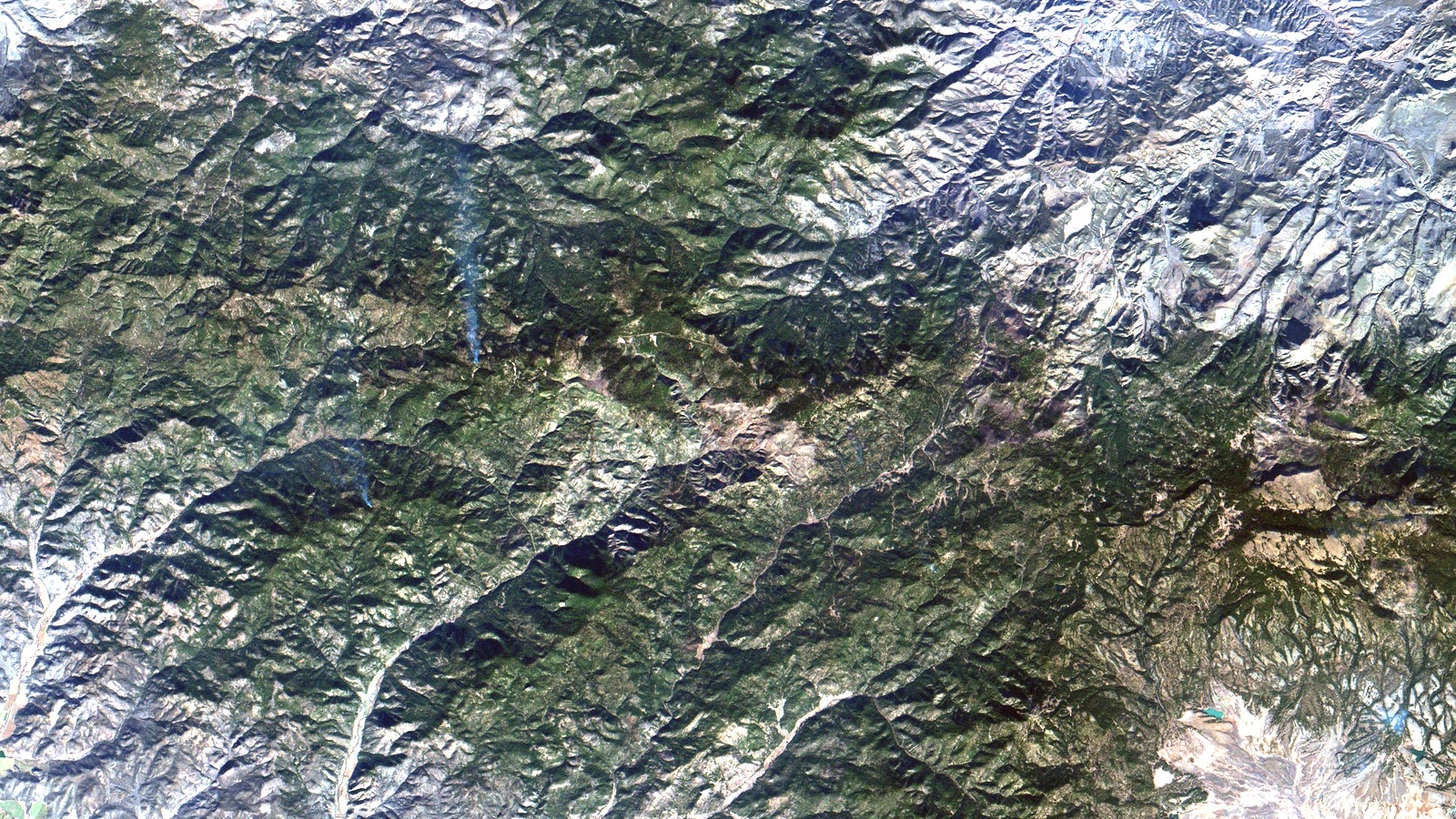 Satellite view of Ochoco National Forest in Central Oregon showing ponderosa pine forest and grasslands