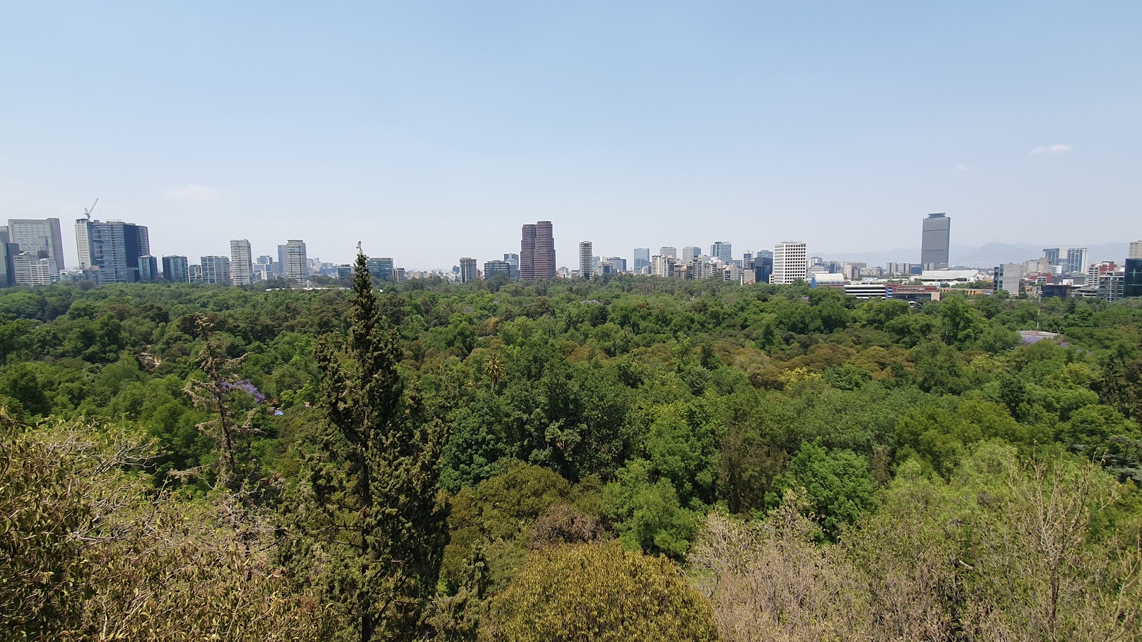 Bosque de Chapultepec forest and Mexico City skyline viewed from Chapultepec Castle