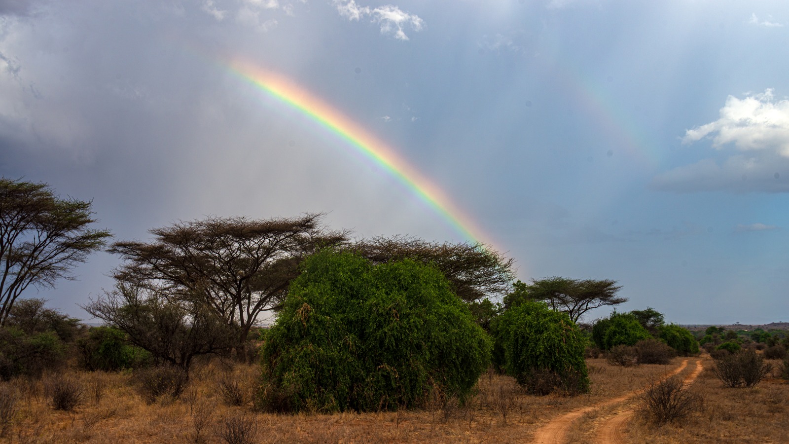 Rainbow above trees and a dirt track in Kenya's Samburu National Reserve, one of the destinations in Intrepid's 2027 Not Hot List