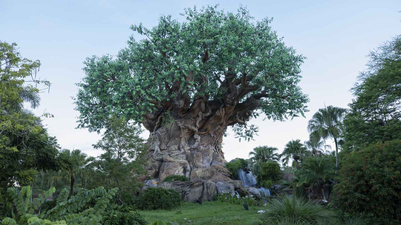 The Tree of Life at Disney's Animal Kingdom in Florida, with carved animals on the trunk and a waterfall at its base.