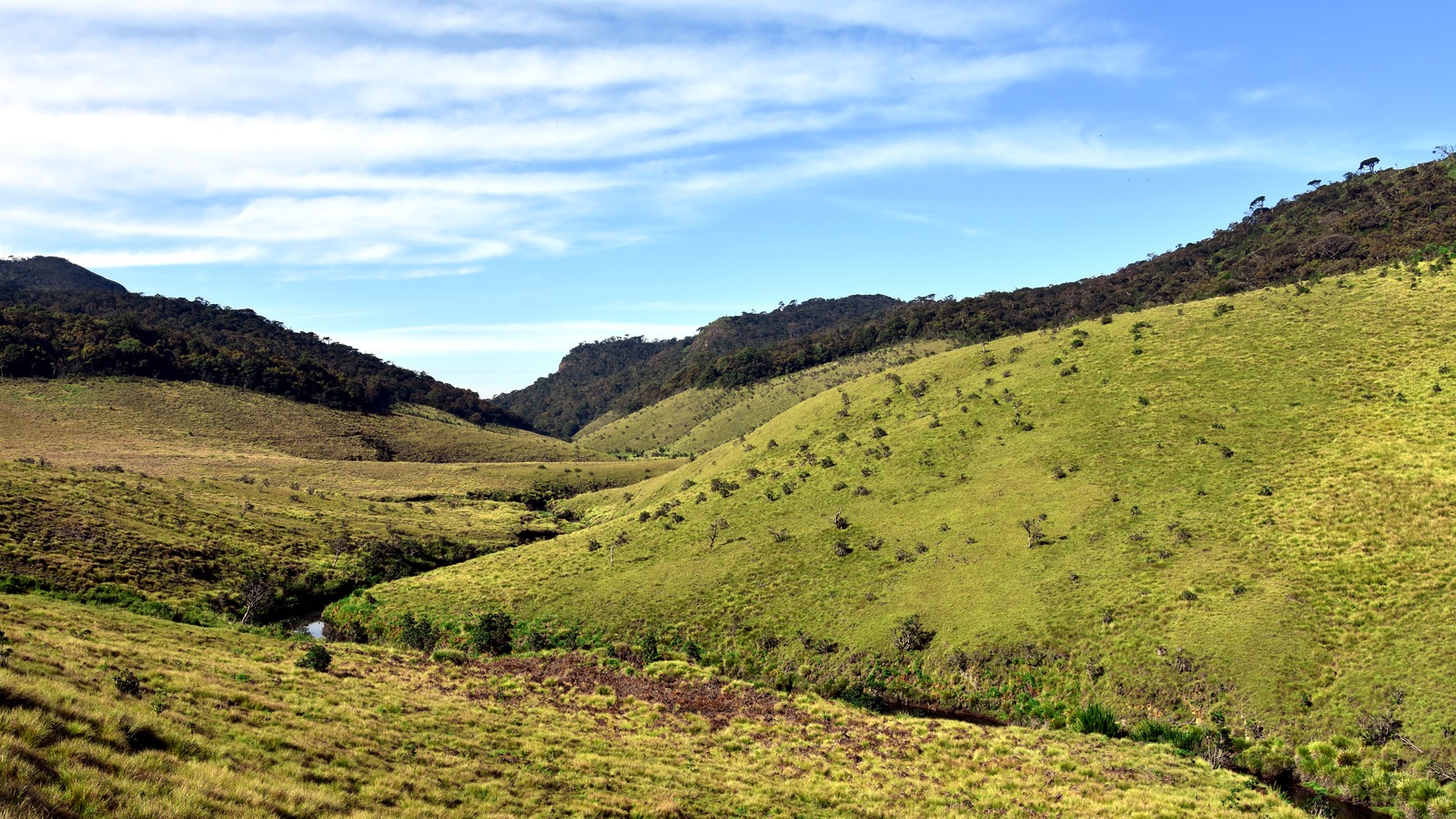 Sunny grassland and forested ridges at Horton Plains in Sri Lanka's central highlands, the landscape around EKHO Belihuloya.