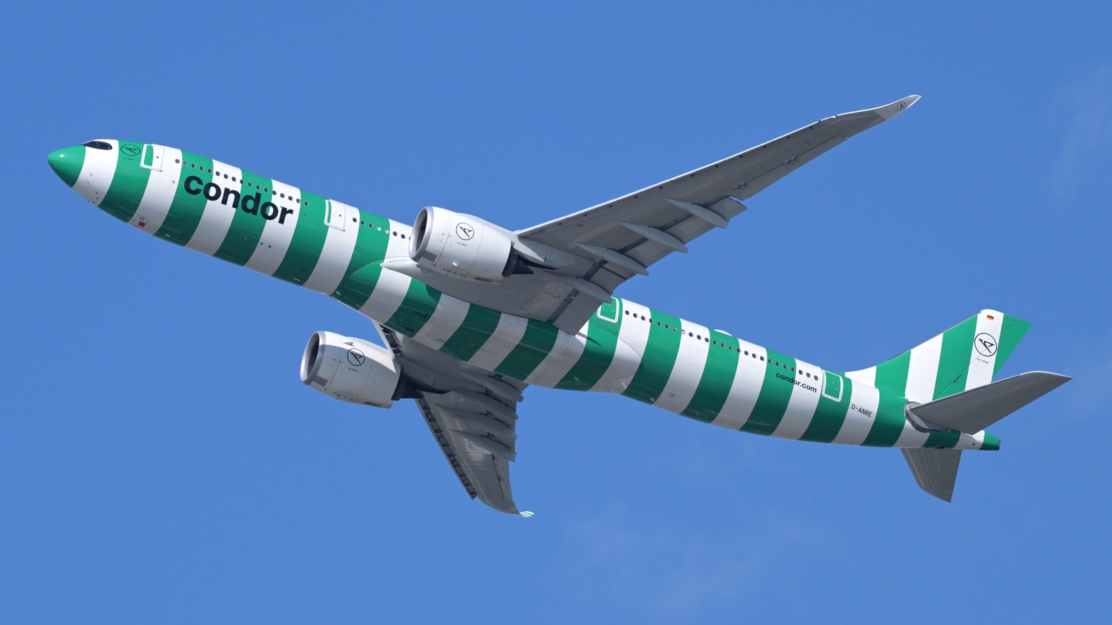 Condor Airbus A330-900 in green and white striped livery climbing out of Boston, the named U.S. gateway in the new American Airlines interline.