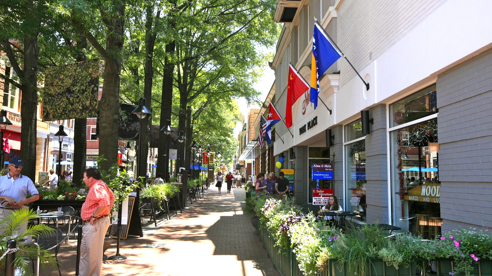 Charlottesville Downtown Mall pedestrian street with brick paving and storefronts under daylight