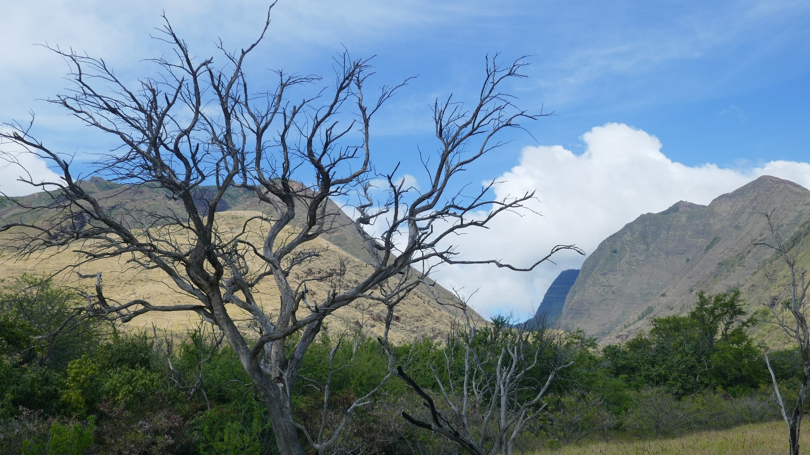 Olowalu Valley mountains and vegetation on Maui, photographed in March 2025 before the September 2026 brush fire.