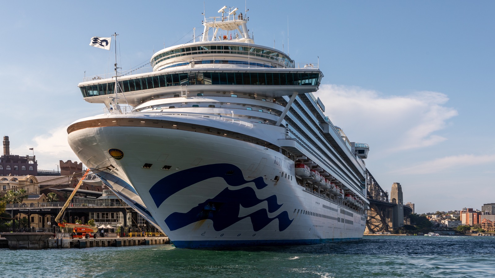 Ruby Princess cruise ship at Sydney Overseas Passenger Terminal, bow and starboard in daylight with Princess seahorse hull art