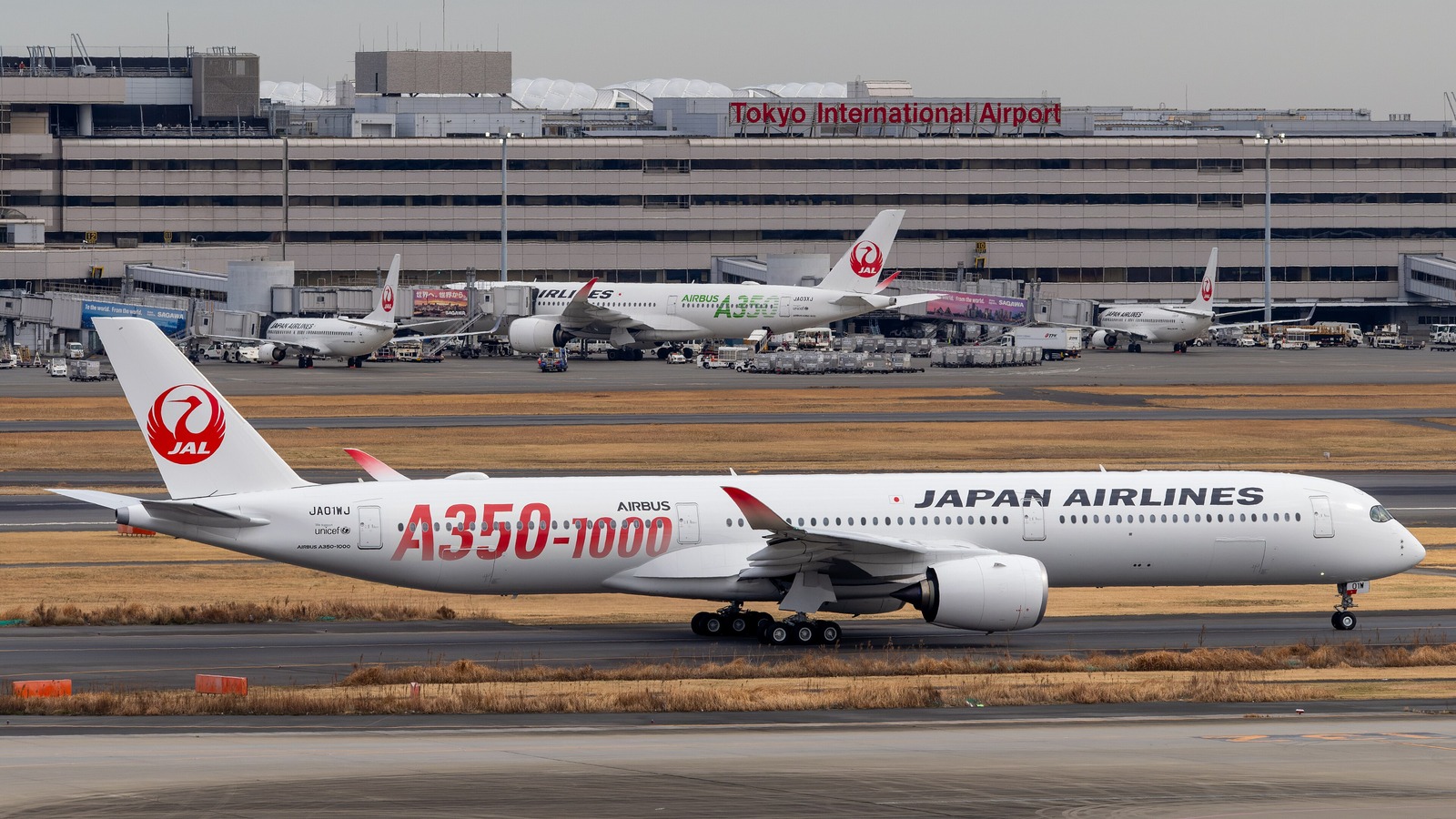 A Japan Airlines Airbus A350-1000 with red A350-1000 titles taxiing at Tokyo Haneda, with JAL aircraft at the terminal behind.