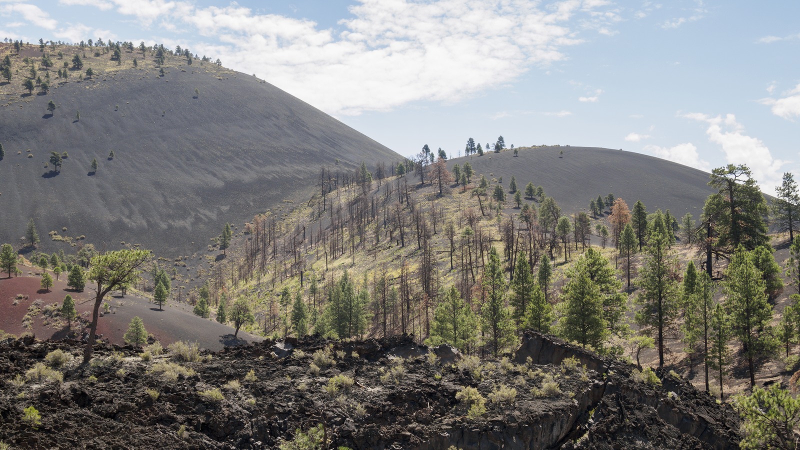 Sunset Crater volcanic slopes and lava landscape near Flagstaff