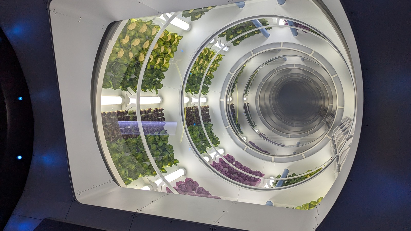 Circular interior viewport of the Space 220 restaurant at EPCOT, looking up through tiered plantings toward a central metallic core