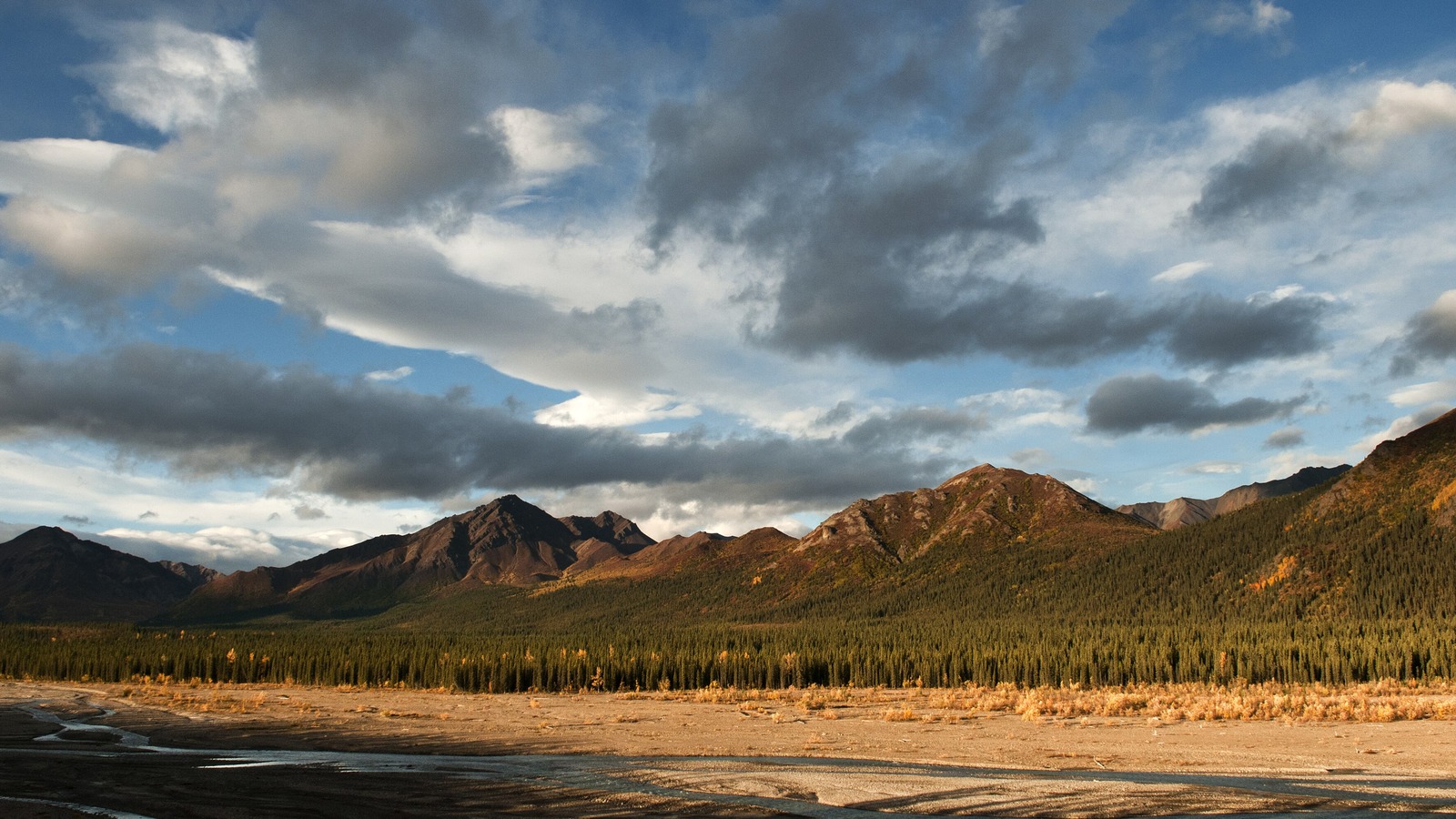 The braided gravel bed of the Teklanika River in autumn, spruce forest and yellowing tundra along the far bank with the bare ridges of the Alaska Range behind.