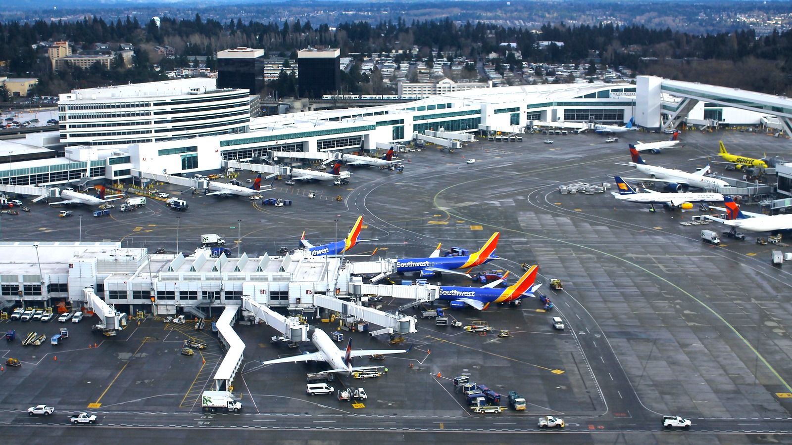 Aerial view of Seattle-Tacoma International Airport terminals A and B with aircraft parked at the gates