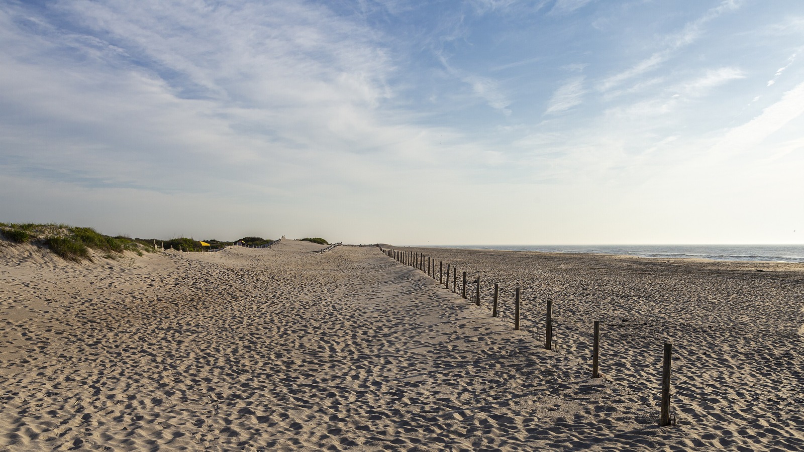 The ocean side beach at Assateague Island in low sun, a line of weathered fence posts separating the dune from the wide flat sand, with the Atlantic breaking on the right.