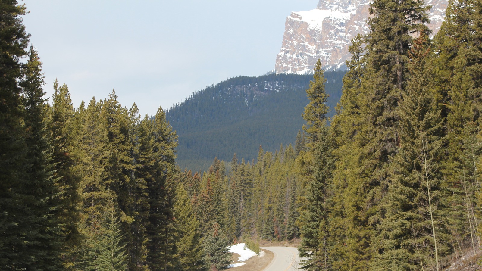 Bow Valley Parkway scenery toward Castle Mountain in April 2014, an archive spring landscape not current fall road conditions or the restriction barrier