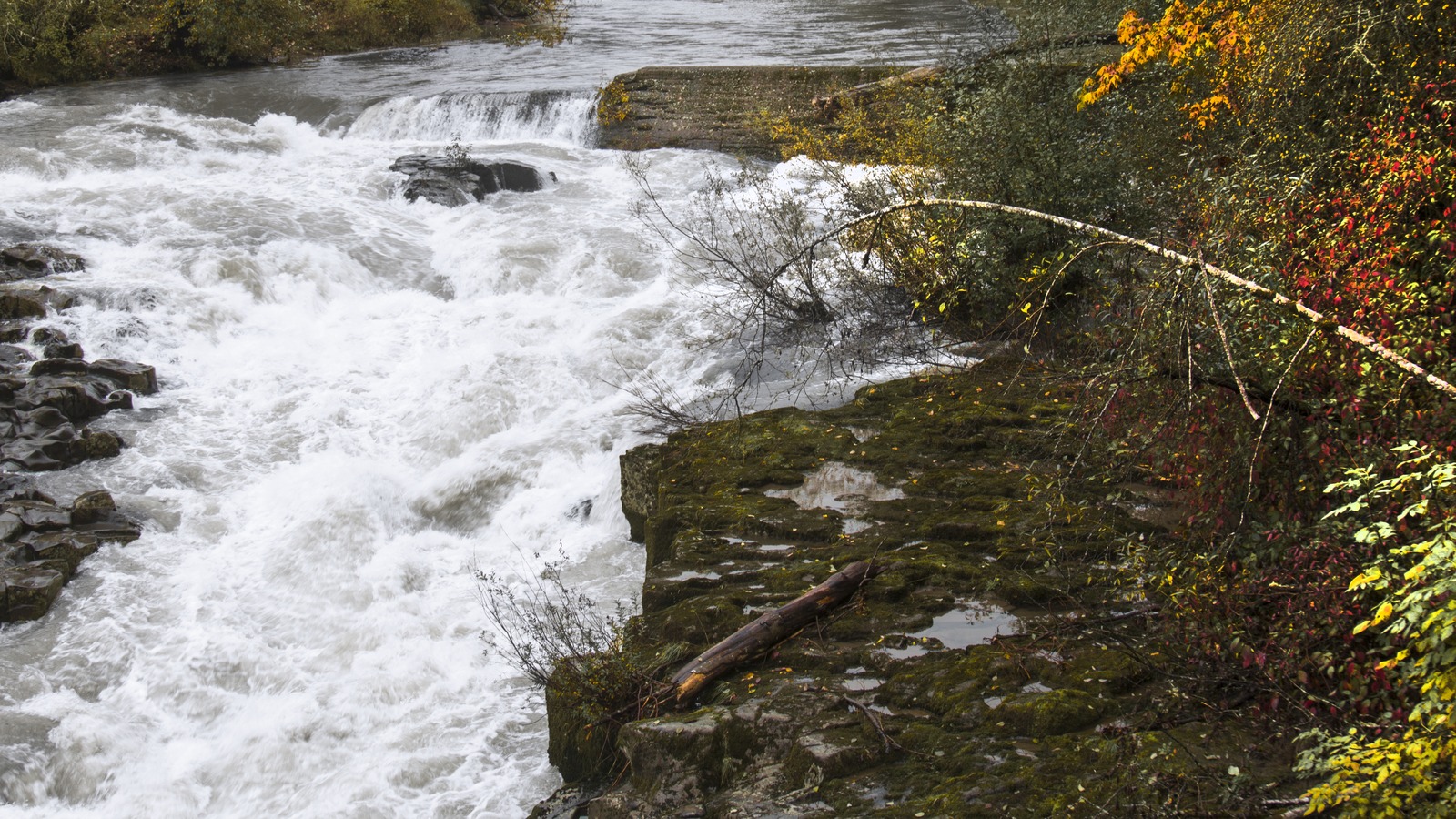 Archival Clackamas River water and rock scenery in Oregon, photographed in October 2016