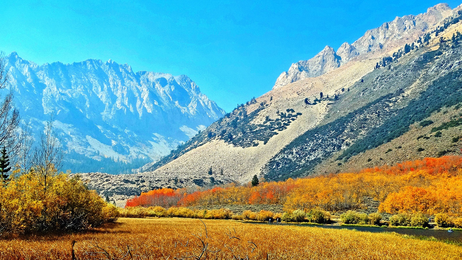Aspens in bright orange and gold autumn colour along the shore of North Lake in the Bishop Creek canyon of the Sierra Nevada, with a golden meadow in the foreground, a small still lake to the right and granite peaks rising under a clear blue sky