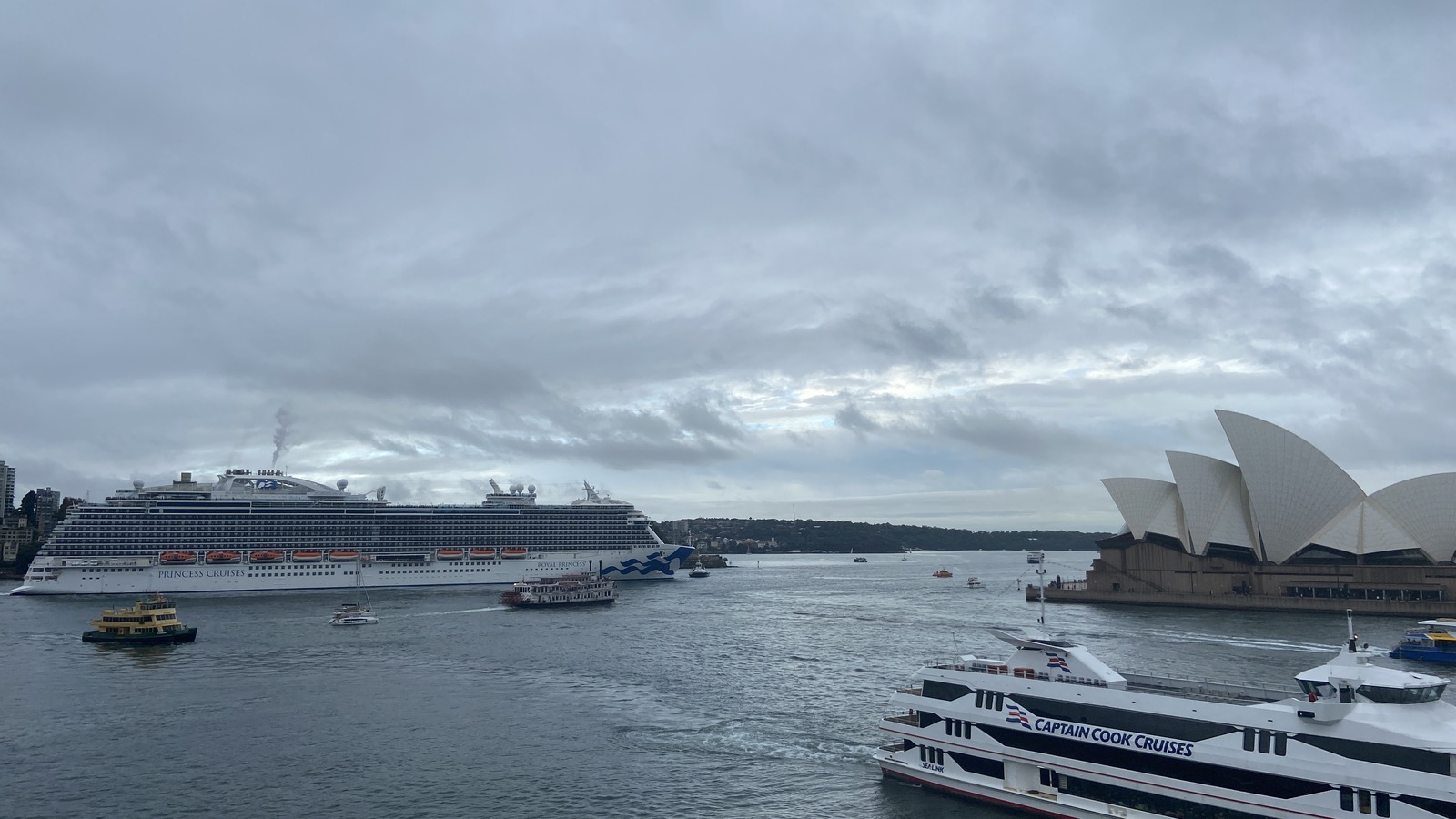 The cruise ship Royal Princess, with Princess Cruises lettering on the hull, under way in Sydney Harbour on an overcast day with the Sydney Opera House to the right