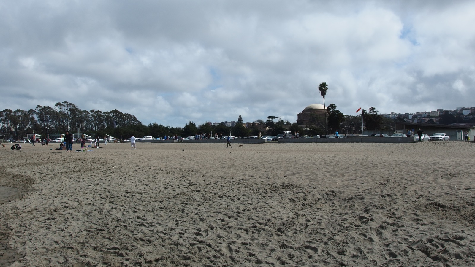 Crissy Field East Beach with vehicles and the Presidio waterfront in San Francisco