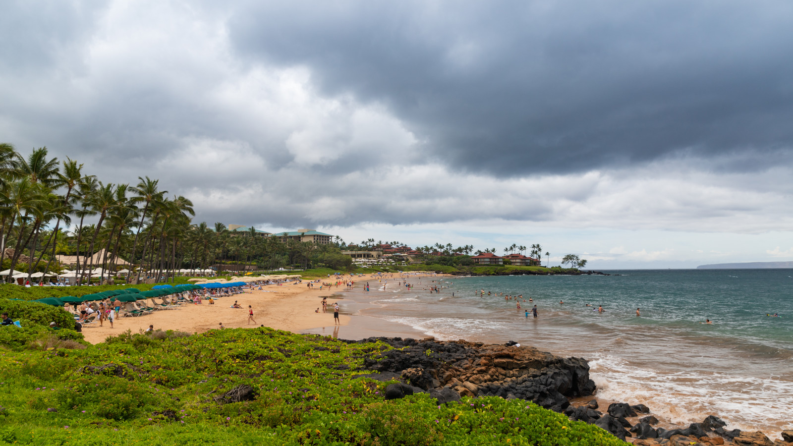 Sand, palms, and blue water at Wailea Beach on Maui.