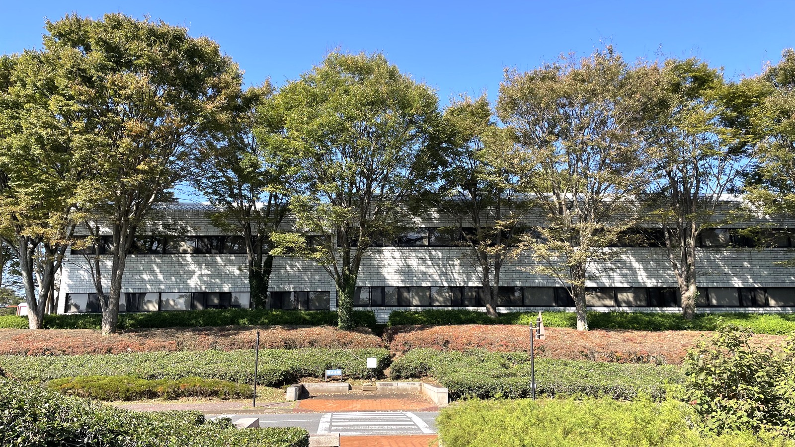 National Museum of Japanese History exterior in Sakura