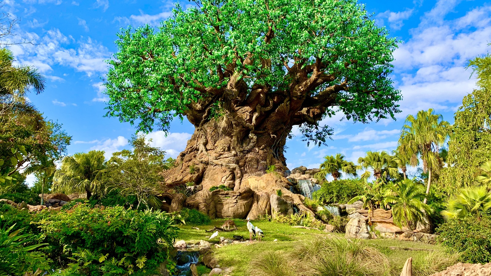 Tree of Life surrounded by gardens inside Disney's Animal Kingdom in Florida