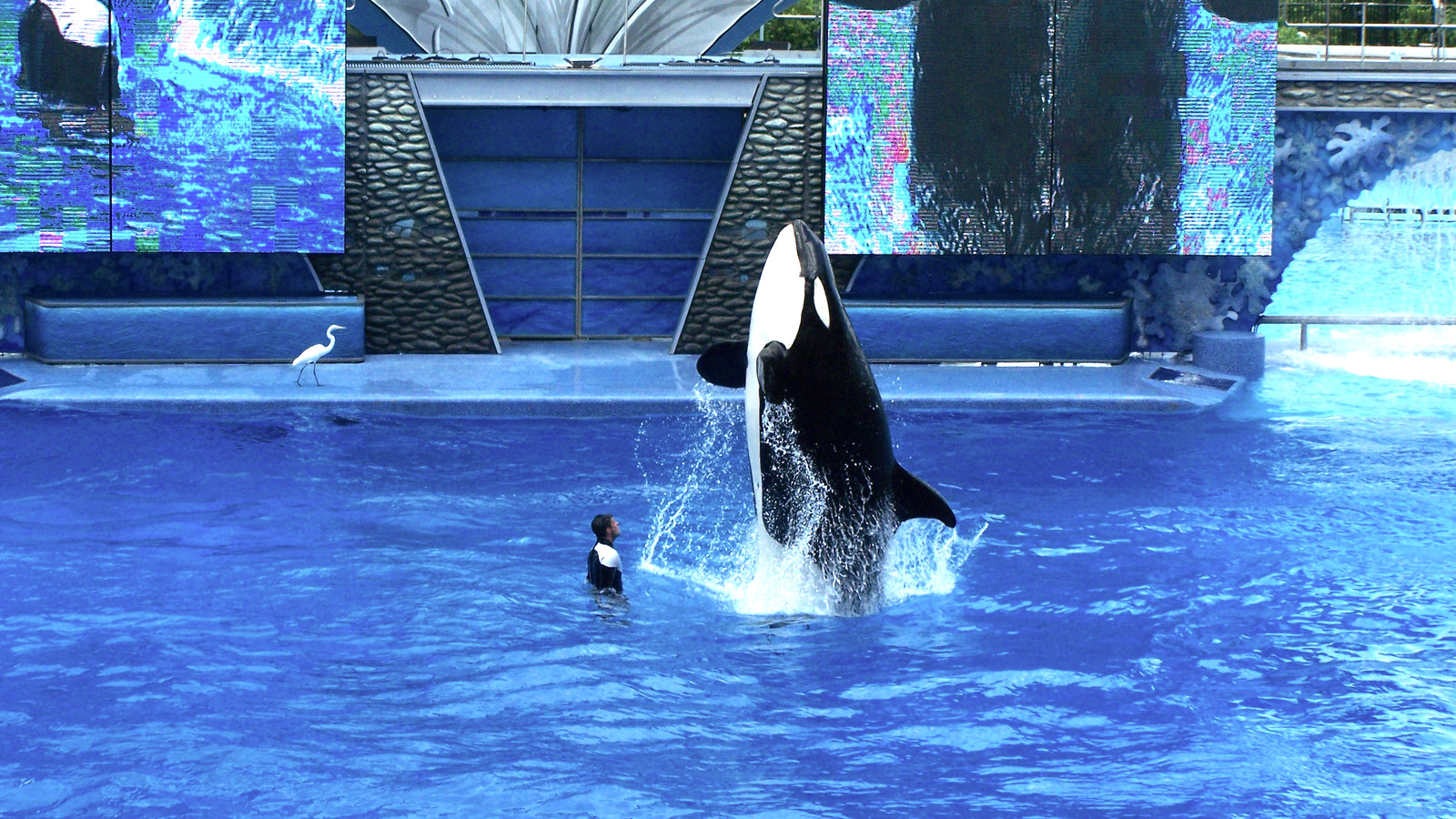 SeaWorld Orlando entrance area in Florida