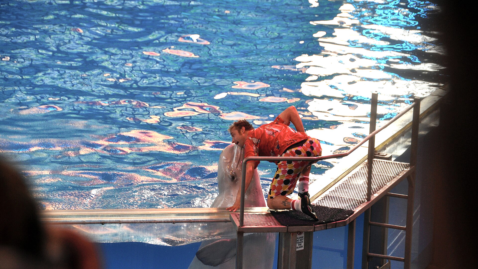 SeaWorld San Antonio entrance and attraction setting